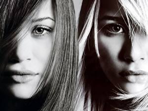 Sfondi desktop Mary-Kate e Ashley Olsen