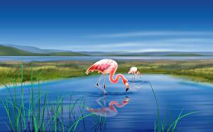Papel de Parede Desktop Aves Flamingos