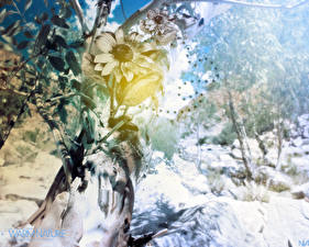 Hintergrundbilder 3D-Grafik Blumen Natur