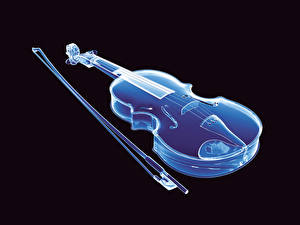 Fotos Musikinstrumente Violine Schwarzer Hintergrund