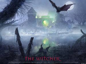 Bilder The Witcher