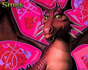 Fonds d'écran Shrek Dragons Dessins_animés