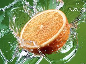 Bilder Obst Zitrusfrüchte Orange Frucht das Essen