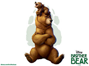 Tapety na pulpit Disney Mój brat niedźwiedź Niedźwiedzie Białe tło Kreskówki