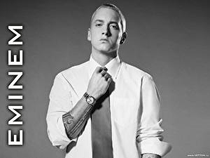 Bureaubladachtergronden Eminem Muziek