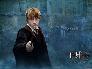 Papel de Parede Desktop Harry Potter Harry Potter e a Ordem da Fênix Rupert Grint