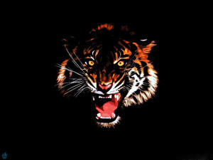 Hintergrundbilder Große Katze Tiger Gezeichnet Schwarzer Hintergrund ein Tier
