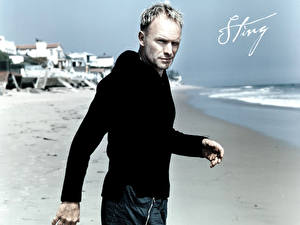 Wallpapers Sting Music