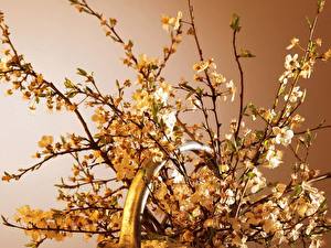 Bureaubladachtergronden Ikebana bloem