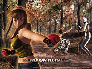 Фото Dead or Alive Dead or Alive 3