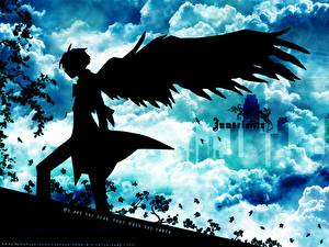 Hintergrundbilder Engeln Silhouetten Anime