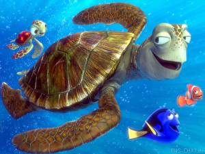 Bilder Disney Findet Nemo Animationsfilm