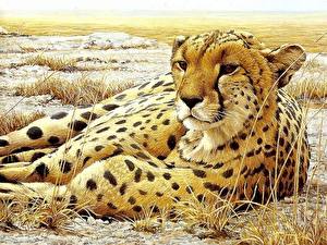 Picture Big cats Cheetah Painting Art Animals
