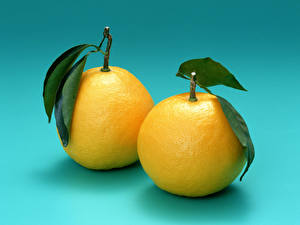Картинка Фрукты Цитрусовые Апельсин Продукты питания