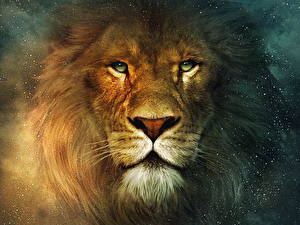 Fonds d'écran Le Monde de Narnia Le Monde de Narnia : Le Lion, la Sorcière blanche et l'Armoire magique