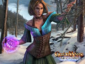 Picture Guild Wars Guild Wars Eye of the North vdeo game