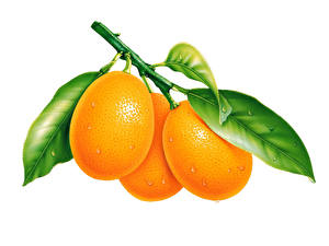 Tapety na pulpit Owoce Owoce cytrusowe Pomarańcza owoc Na białym tle Jedzenie