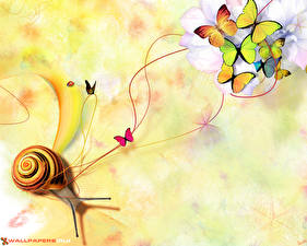 Wallpapers Insects Snails