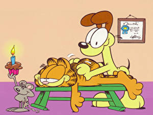 Fondos de escritorio Garfield - Animación