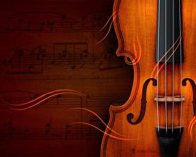 Bilder Musikinstrumente Violine