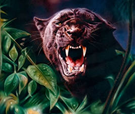Fotos Große Katze Schwarzer Panther Gezeichnet ein Tier