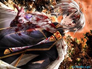 Photo Angel's Feather Blood Anime
