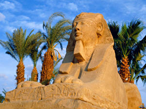 Sfondi desktop La scultura Egitto Città