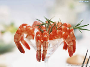 Pictures Seafoods Shrimp