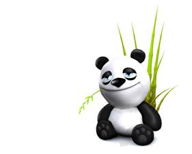 Papel de Parede Desktop Panda-gigante