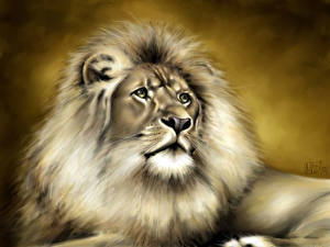 Фотография Большие кошки Лев Рисованные животное