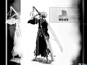 Bakgrundsbilder på skrivbordet Bleach: Memories of Nobody Anime