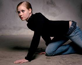 Tapety na pulpit Amy Adams