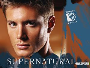 Hintergrundbilder Supernatural Jensen Ackles