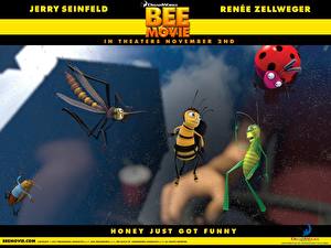 Hintergrundbilder Bee Movie – Das Honigkomplott