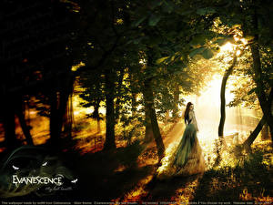 Hintergrundbilder Evanescence