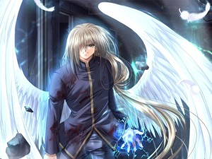 Hintergrundbilder Angel's Feather