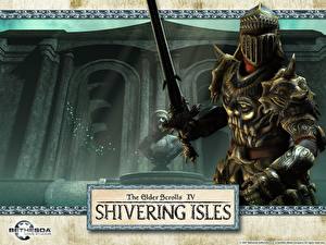 Papel de Parede Desktop The Elder Scrolls The Elder Scrolls IV: Oblivion Shivisles Jogos
