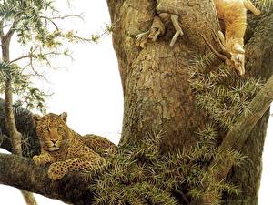 Sfondi desktop Grandi felini Leopardo Disegnate animale