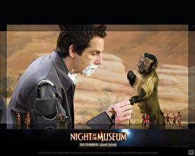 Desktop wallpapers Night at the Museum - Movies Movies