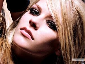 Fonds d'écran Avril Lavigne