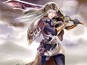 Bilder Krieger Schwert Rüstung Fantasy Mädchens