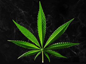 Bureaubladachtergronden Cannabis