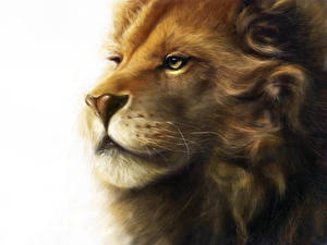 Bakgrundsbilder på skrivbordet Pantherinae Lejon Målade Vit bakgrund Djur