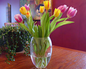 Bureaubladachtergronden Tulpen Een vaas bloem