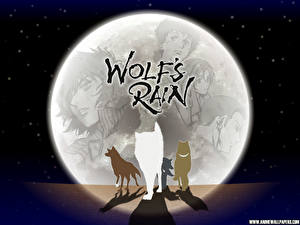 Bakgrunnsbilder Wolf's Rain