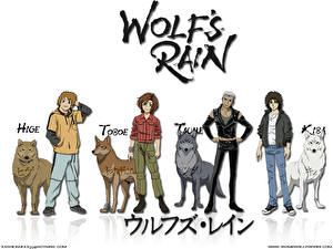 Bakgrundsbilder på skrivbordet Wolf's Rain