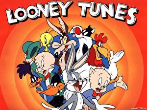 Bureaubladachtergronden Looney Tunes Cartoons