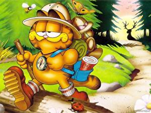 Papel de Parede Desktop Garfield - Cartoons