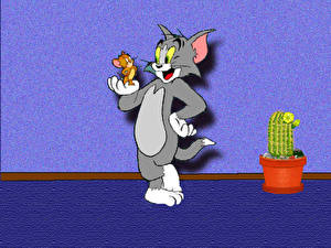 Tapety na pulpit Tom i Jerry kreskówka