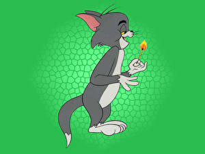 Hintergrundbilder Tom and Jerry